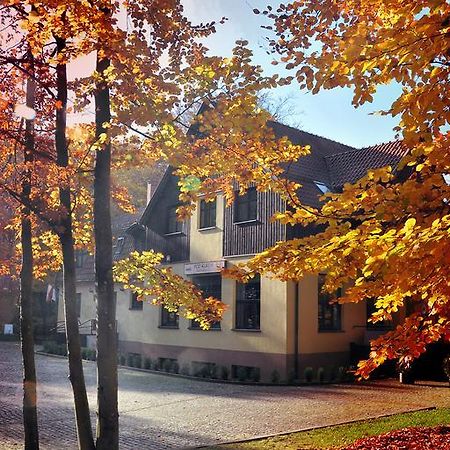 Willa Strzelnica Hotel Koscierzyna Exterior photo