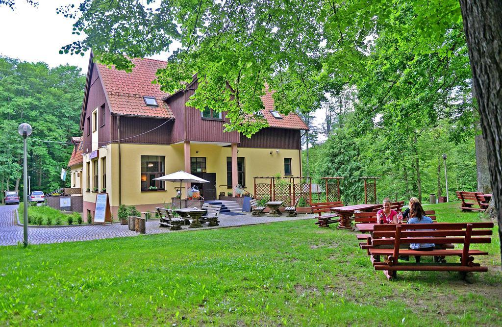 Willa Strzelnica Hotel Koscierzyna Exterior photo