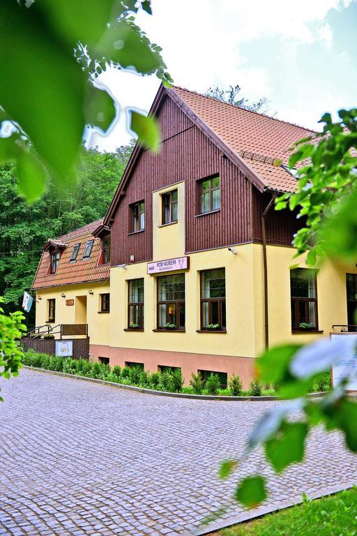Willa Strzelnica Hotel Koscierzyna Exterior photo